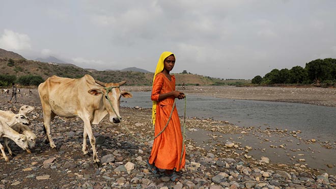 فتاة تنظر وهي تقود بقرتها عبر بحيرة نبع في منطقة خميس بنيساد بمحافظة المحويت- رويترز